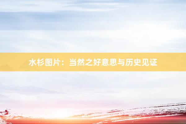 水杉图片：当然之好意思与历史见证