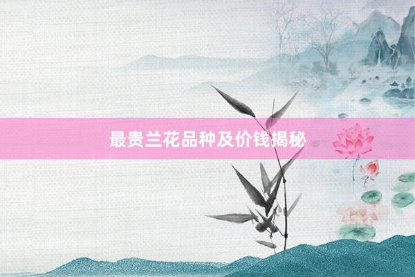 最贵兰花品种及价钱揭秘