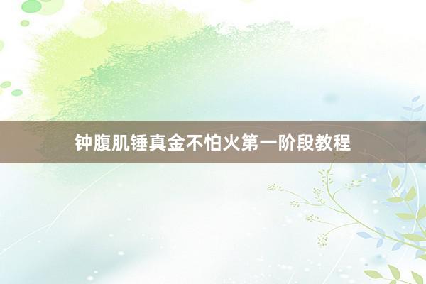 钟腹肌锤真金不怕火第一阶段教程
